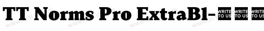 TT Norms Pro ExtraBl字体转换